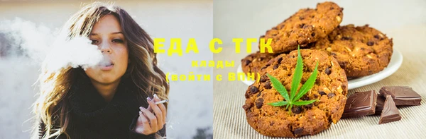 хмурый Алзамай