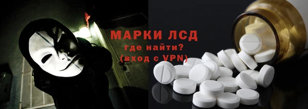 хмурый Алзамай