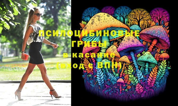 крисы Ростов