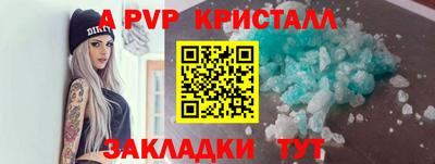 2c-b Кингисепп