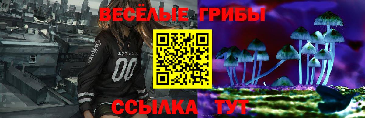 Нефтекумск  Галлюциногенные грибы прущие грибы  Вход с VPN 